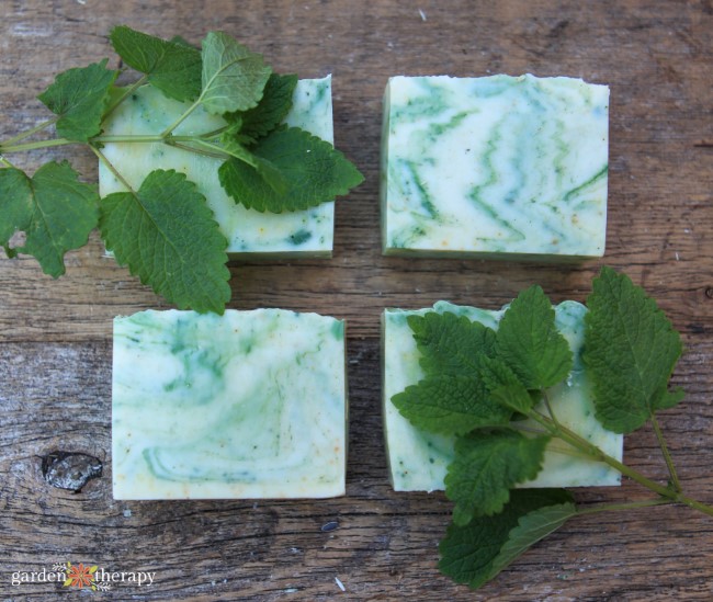 Soap Making with Natural Colors