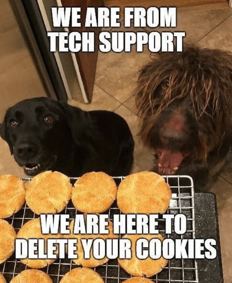 dogs looking at cookies coming out of the oven