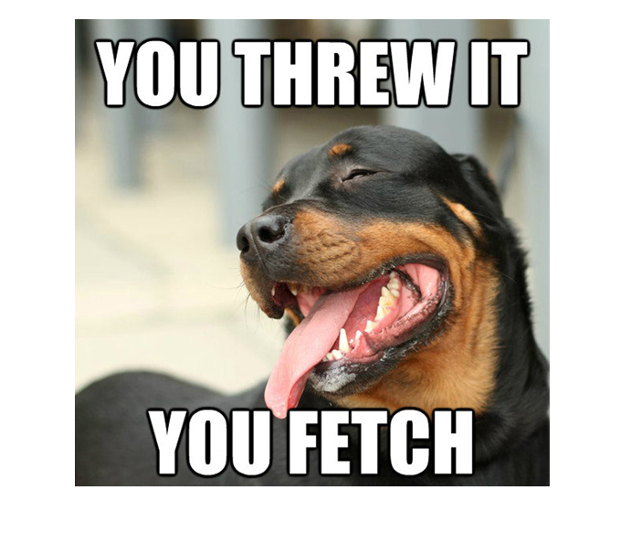 Rottweiler meme 